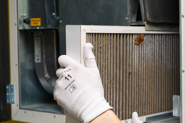 Best General Air Duct Cleaning  in South Gull Lake, MI