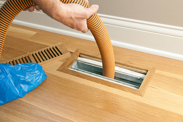 Best HVAC Air Duct Cleaning  in South Gull Lake, MI