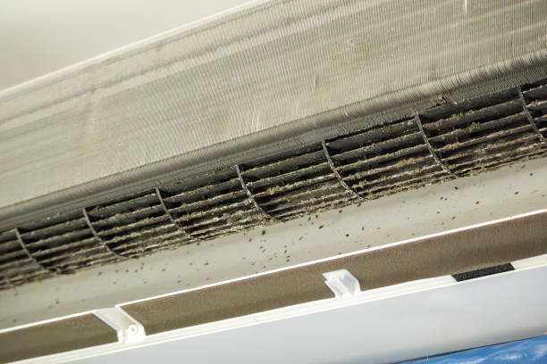 Best Local Air Duct Cleaning Services  in South Gull Lake, MI