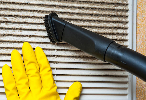 Best Local Air Duct Cleaning Services  in South Gull Lake, MI